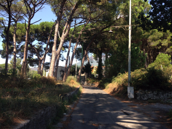 photo 1376360
