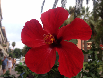 photo 1376367
