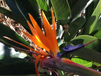 photo 1376371