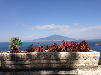photo 1376372