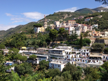 photo 1376373