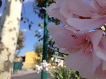 photo 1376374