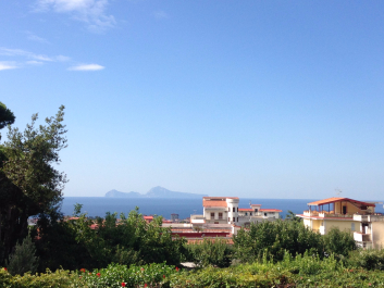 photo 1376377