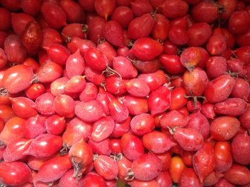 photo 1376391