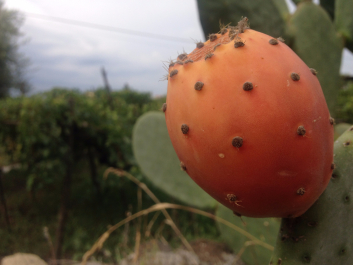 photo 1376392