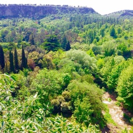 photo 1374100