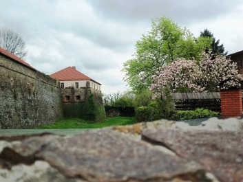 photo 1405436
