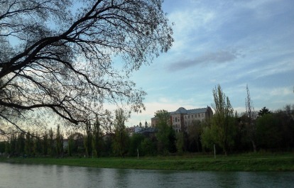 photo 1405456
