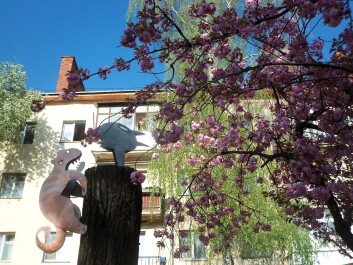 photo 1405460