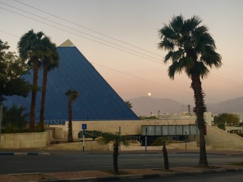 photo 1447223