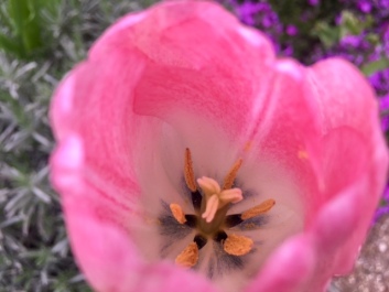 photo 1486120