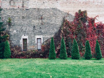 photo 1562516