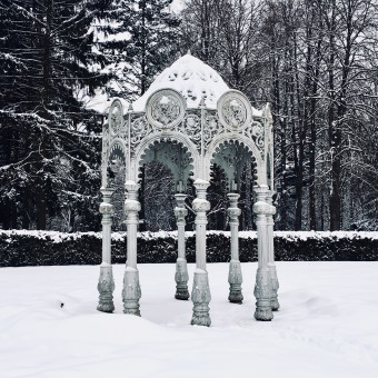 Зима в ботаническом саду. Минск