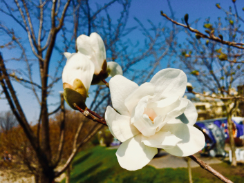 photo 1627340