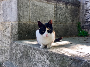 photo 1629945