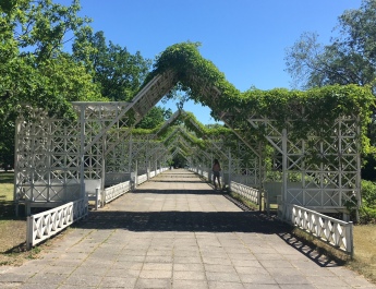 photo 1660410