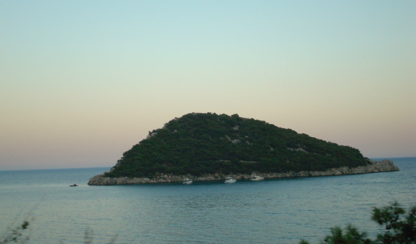 DSC08769