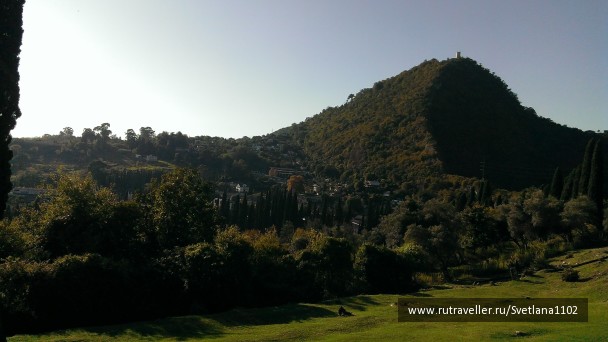 photo 1818729