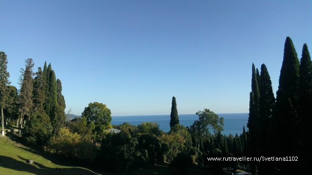 photo 1818733