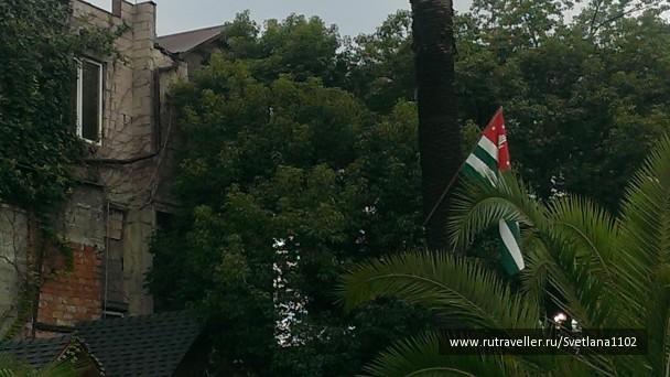 photo 1818739