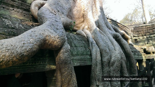 photo 1818762