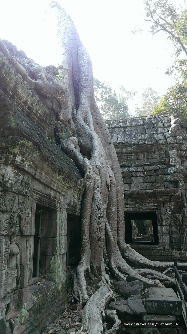 photo 1818763
