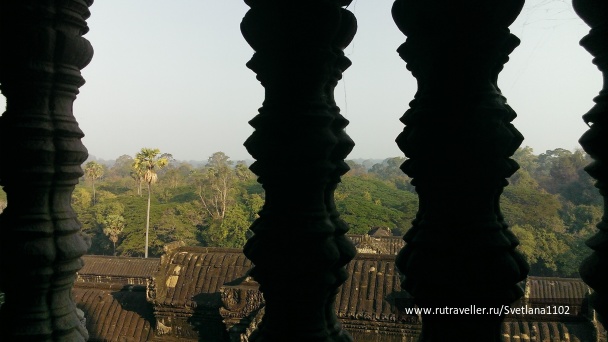 photo 1818764