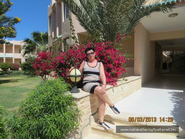 photo 916192