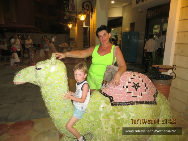 photo 916239