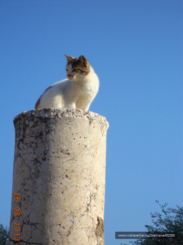 photo 510132