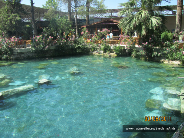 photo 247616