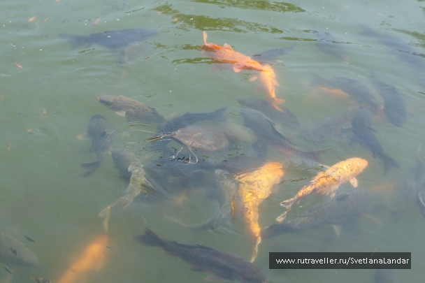 photo 958288