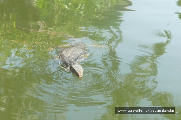 photo 958301