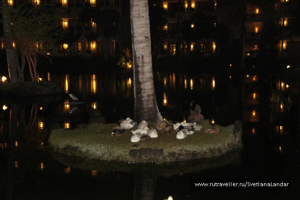 photo 958309