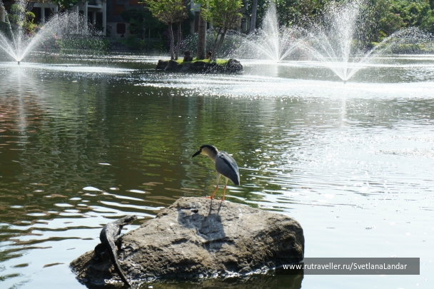 photo 958313