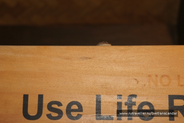 photo 958373