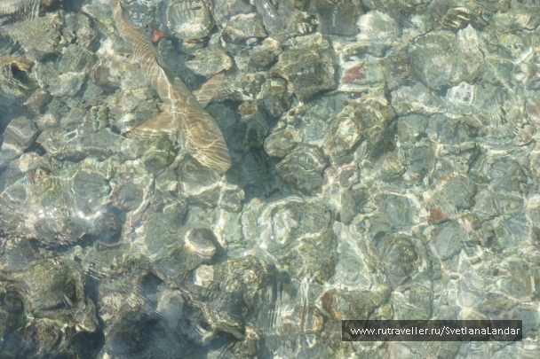 photo 958381