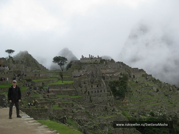 photo 1133521