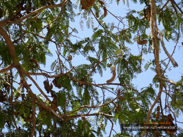 photo 1054742