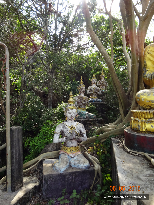 photo 1054982
