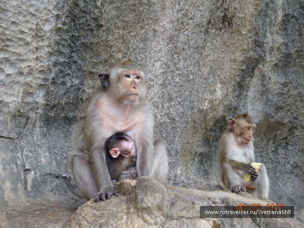 photo 1517968