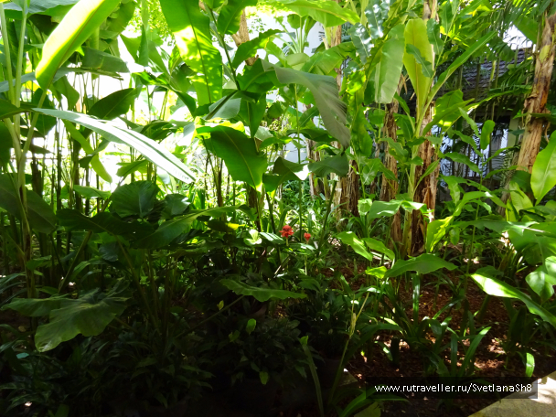 photo 1055012