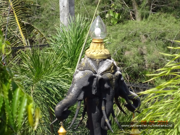 photo 1056179