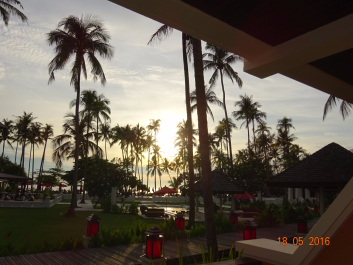 photo 1326458