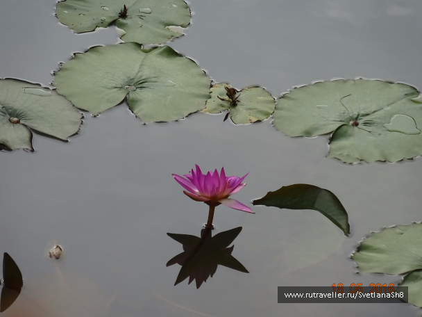 photo 1330287