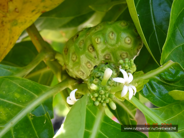 photo 1337156