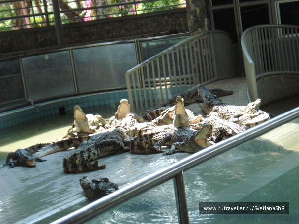 photo 1059410