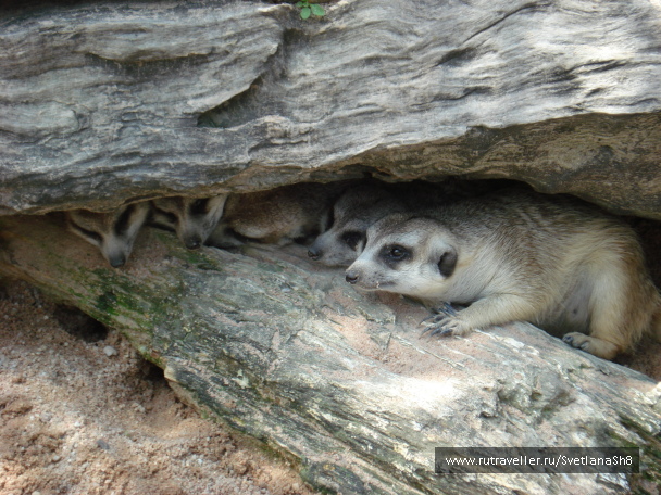 photo 1059495