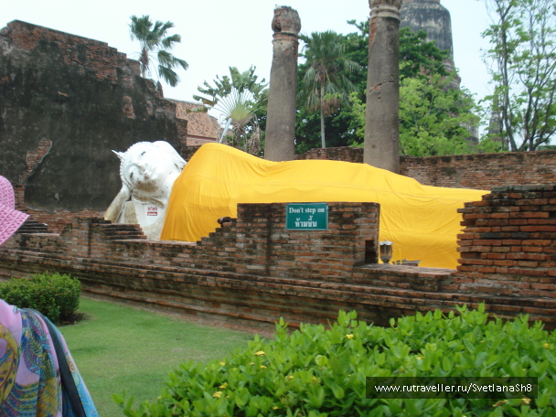photo 1062526