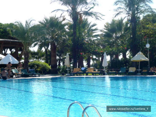 photo 18384